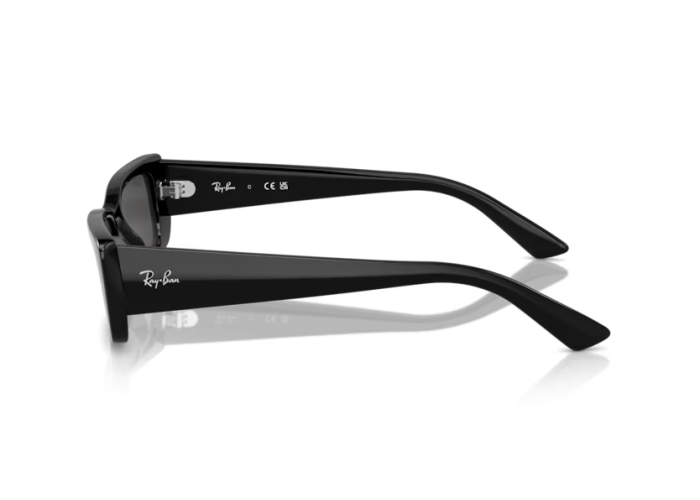 RAY BAN TERU RB4425/6677/87 54 RAY BAN TERU RB4425/6677/87 54